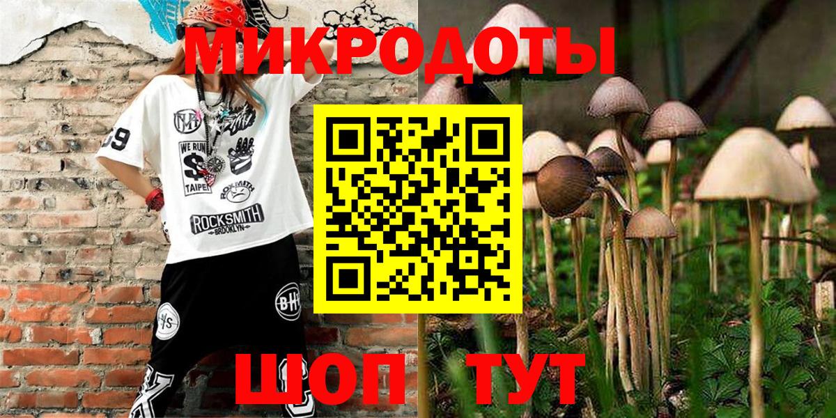 Псилоцибиновые грибы Magic Shrooms  Вход с VPN  Ноябрьск  Галлюциногенные грибы Magic Shrooms 